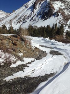 A Pathway With Sheets of Snow on Rocks