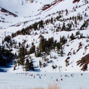 A Snow Covered Hill With Little Shrubs