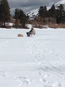 Lone Fisherman and his Dog on Big V