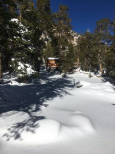 A Cabin Top Portion of Pine Crest