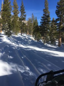 The Top of Pine Crest With a Snow Layer