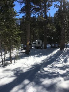 A Pathway in the Woods With Snow