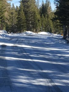 A Snow Covered Road With Pine Trees