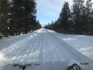 A Snow Cleared Road With Pine Trees on Either Sides