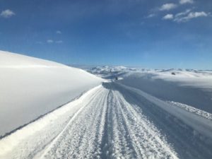 A Snow Pile Gathered on the Side of the Road