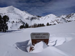 Big V Entrance Sign Submerged in Snow