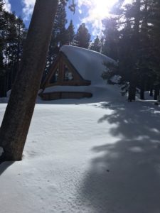 Cabin on Tamarack surrounded by trees and snow