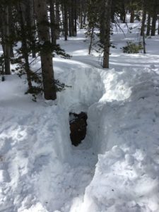 Digging out the wood pile with snow