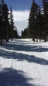 VL Road view to the west at Pine crest