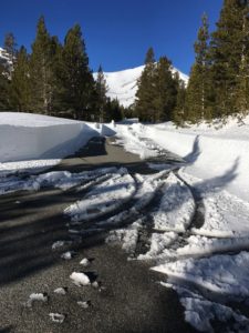 view of a road with snow and trees around