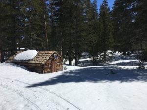 Snow level at the log cabin by the pump house