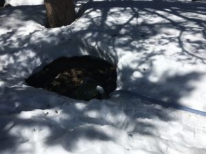 Spring overflow near solar pump house