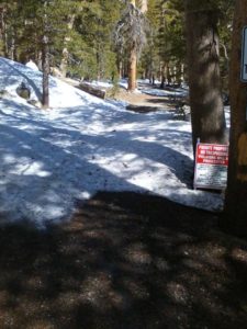 a sign board at the bottom of a tree