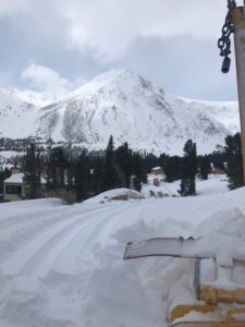 view of the snow covered mountain and trees