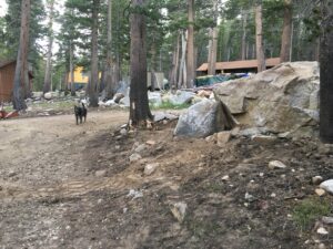 Relocated big rock at Beaver Run and Tamarack