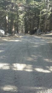 view of the Pinecrest road base material