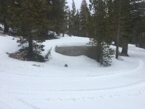 Low water tank surrounded by snow and trees