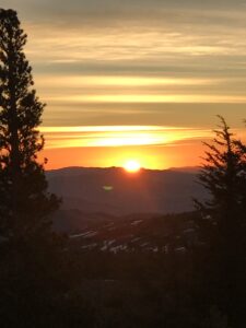 beautiful view of the sunset and trees