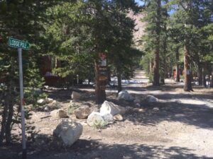 Lodgepole area nameplate near a tree