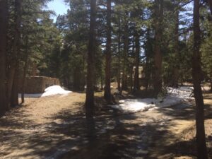 view of the Pump house driveway