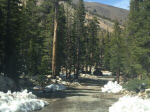 view of a road with trees and snow around it