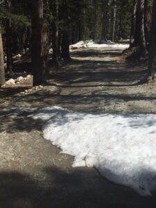 Tip Top of Pinecrest looking south