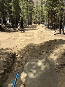 view of the Filled in Road over new line