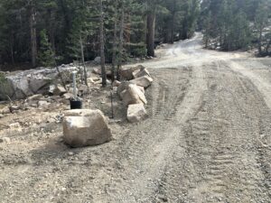 a road in the forest with stones beside it