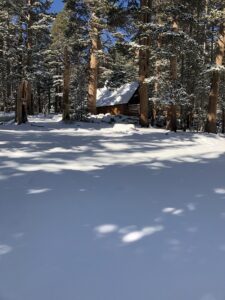 Cabin on Tamarack Lane project