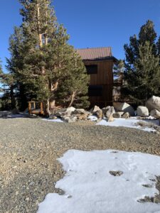 view of a cabin covered with trees