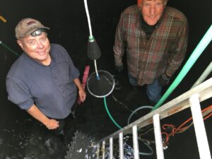 Two Men Working Near an Aluminum Ladder