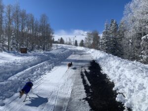 Lower parking lot buried in snow