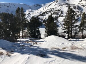 A Pile of Snow on a Snow Covered Path