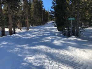 Tamarack looking west with a board