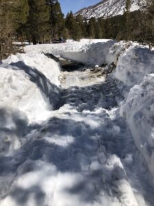 Whole Dug up by Trumbull Lake Campground