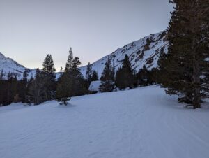 view of the snow covered area and trees