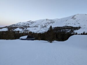 view of trees, a house and mountains