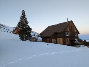 view of a house and a tree near it