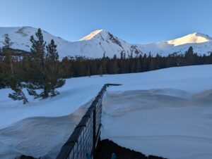 beautiful view of trees and snow covered mountains