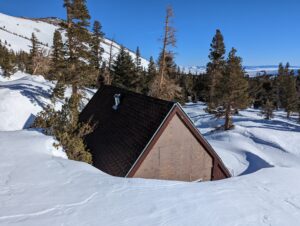 a hut in the snow and trees around it