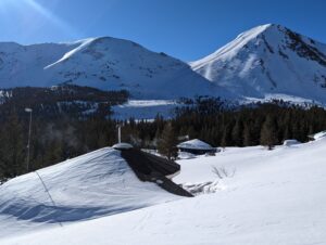 view of the snow covered house and trees