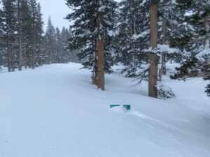 Pinecrest road sign covered in the snow