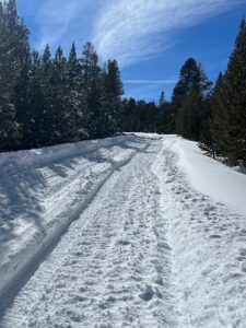 view of a snow covered road with trees