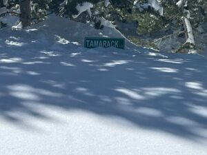 Tamarack road sign covered in the snow