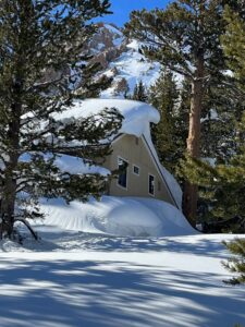 Back of cabin on Pinecrest with trees