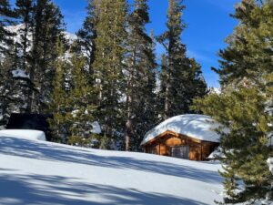 Back of cabin on Tamarack with trees