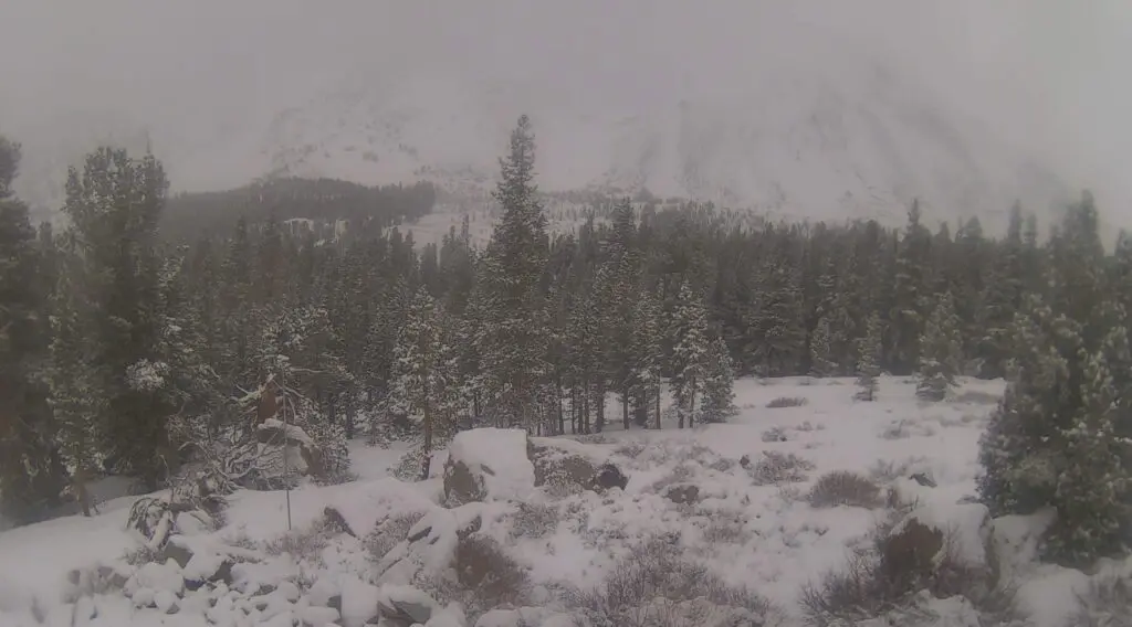 snowy mountain scene