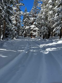 snowy road through forest TipTop/Summit road to pump house