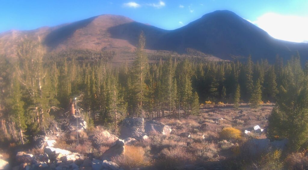 view of mountains in E. Sierra looking south in late afternoon