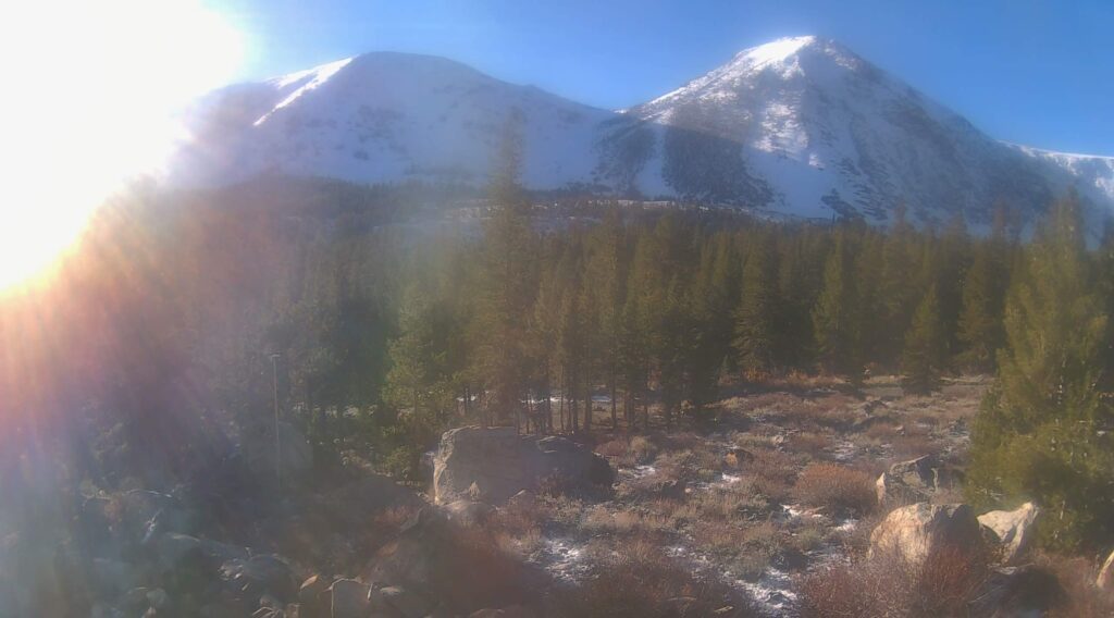 view of snowy mountains in the eastern sierra with rocky sage scrub in the foreground